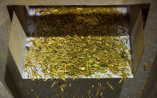 奈良・自社農園産の本物の抹茶パウダー — waka matcha