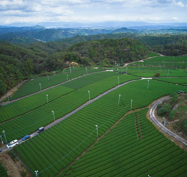 Nara matcha wholesale — waka matcha own farm Yamato highland aerial view