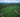 waka matcha's own Nara tea farm — the birthplace of Japanese tea culture