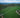 waka matcha's own Nara tea farm — the birthplace of Japanese tea culture