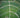 Nara tea farm aerial view — waka matcha own farm