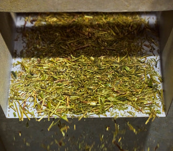 Matcha shortage 2026 — authentic Nara stone-milled matcha from waka matcha own farm