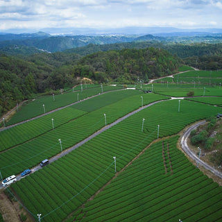 Nara matcha wholesale — waka matcha own farm Yamato highland aerial view